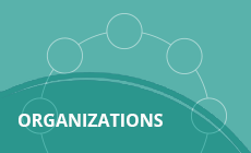 Consulting for Organizations